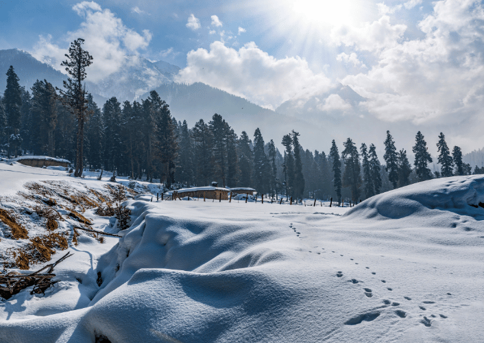 Kashmir Couple Special: Blissful Vacation