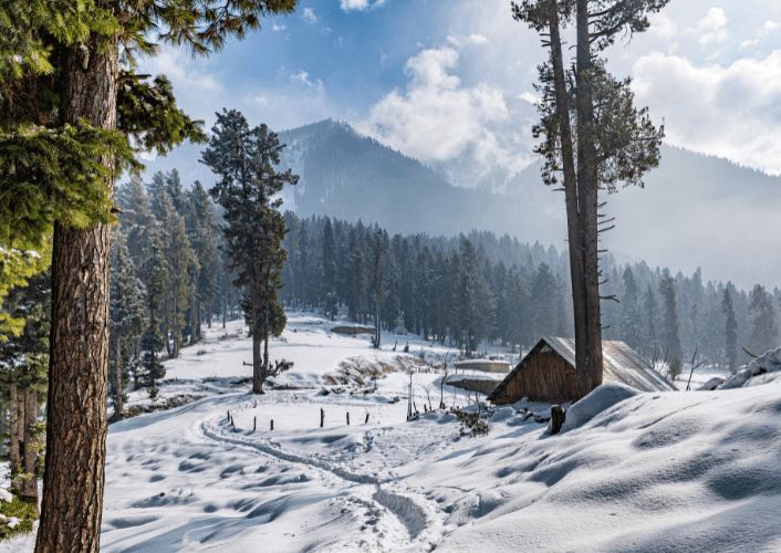 Kashmir Family Vacation