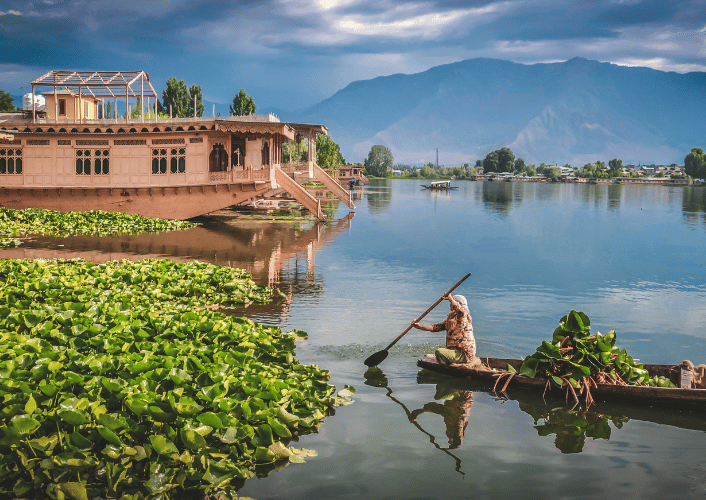 Kashmir Houseboat Delight