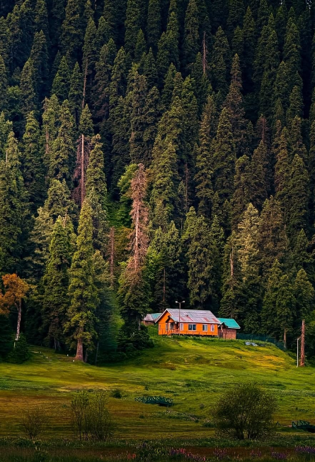 Kashmir Scenic Escape