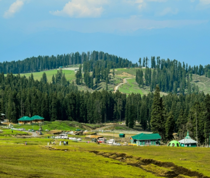 Kashmir in Bloom