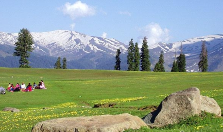 Kashmir in Bloom