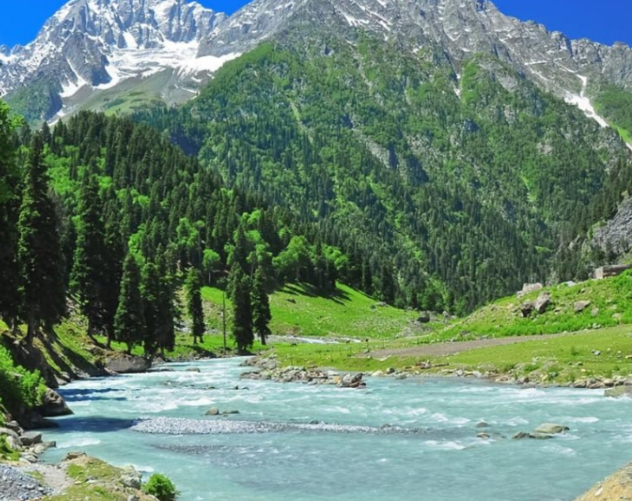 KASHMIR GROUP ESCAPE